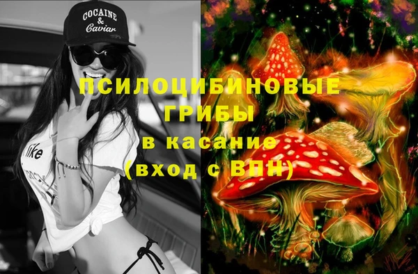 прущий лед Козельск