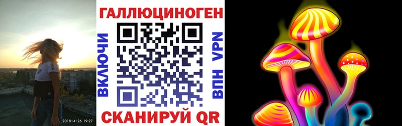 купить закладку Корсаков Псилоцибиновые грибы прущие грибы